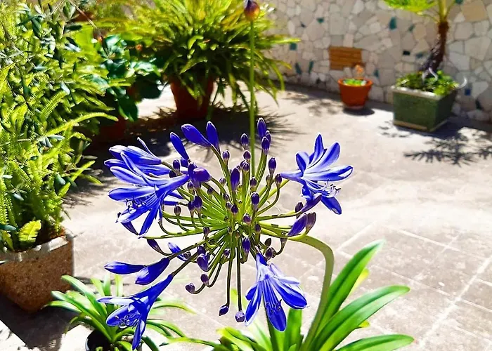 Le Tare Bed & Breakfast