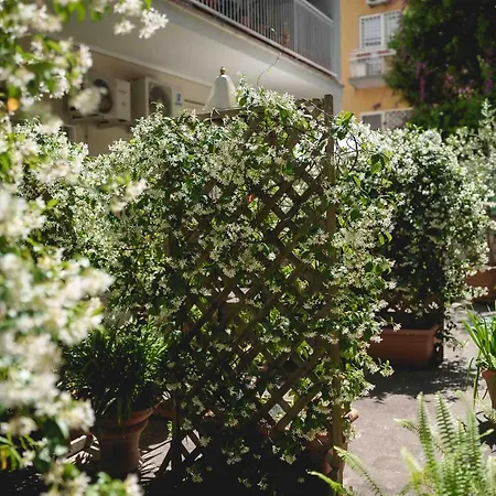 Oda ve Kahvaltı Le Tare Roma