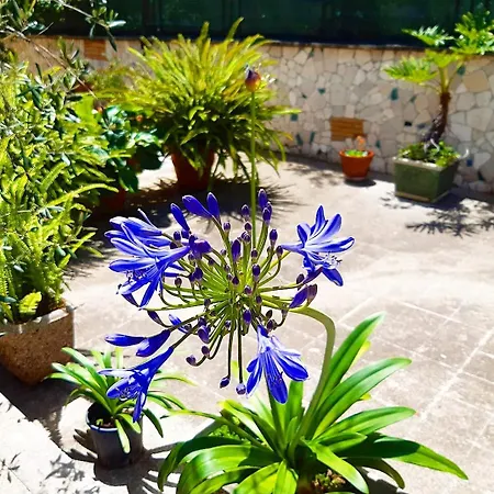 Le Tare Couette-café